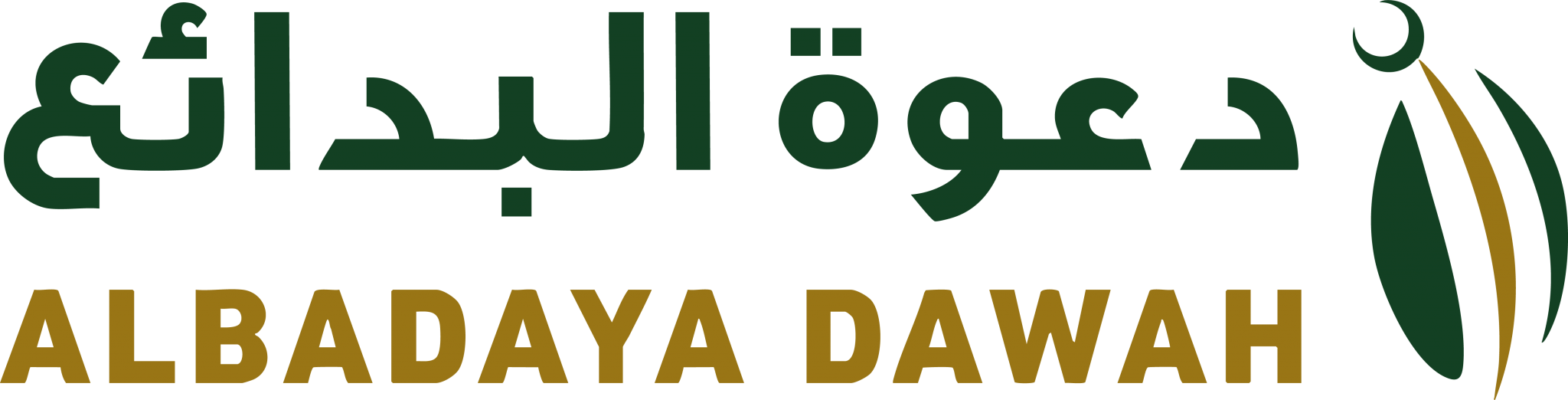 جمعية الدعوة والإرشاد وتوعية الجاليات بمحافظة البدائع